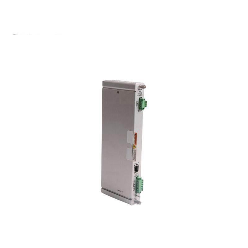 Bently Nevada 125736-01 I/O MODULE
