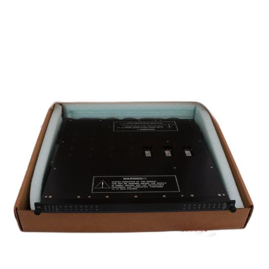 Triconex 4200N Remote Extender Module