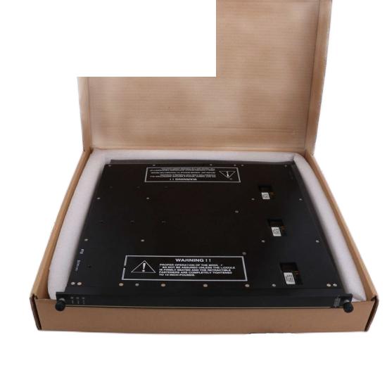 Triconex Termination Panel for 2755 7400061-600