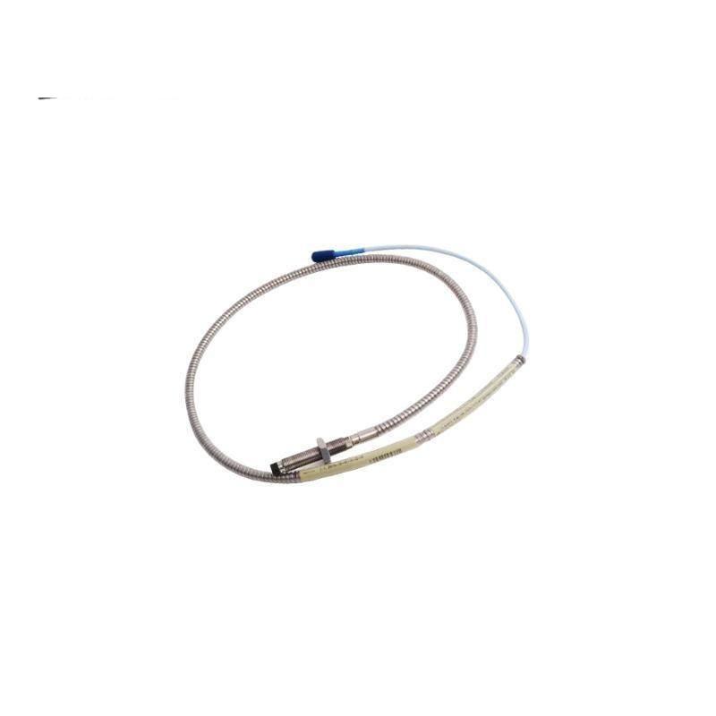 BENTLY 330104-00-10-10-02-CN